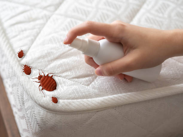 Best Best Pest Control Companies  in Ata, OK